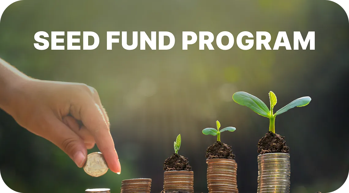 seed-fund-Image