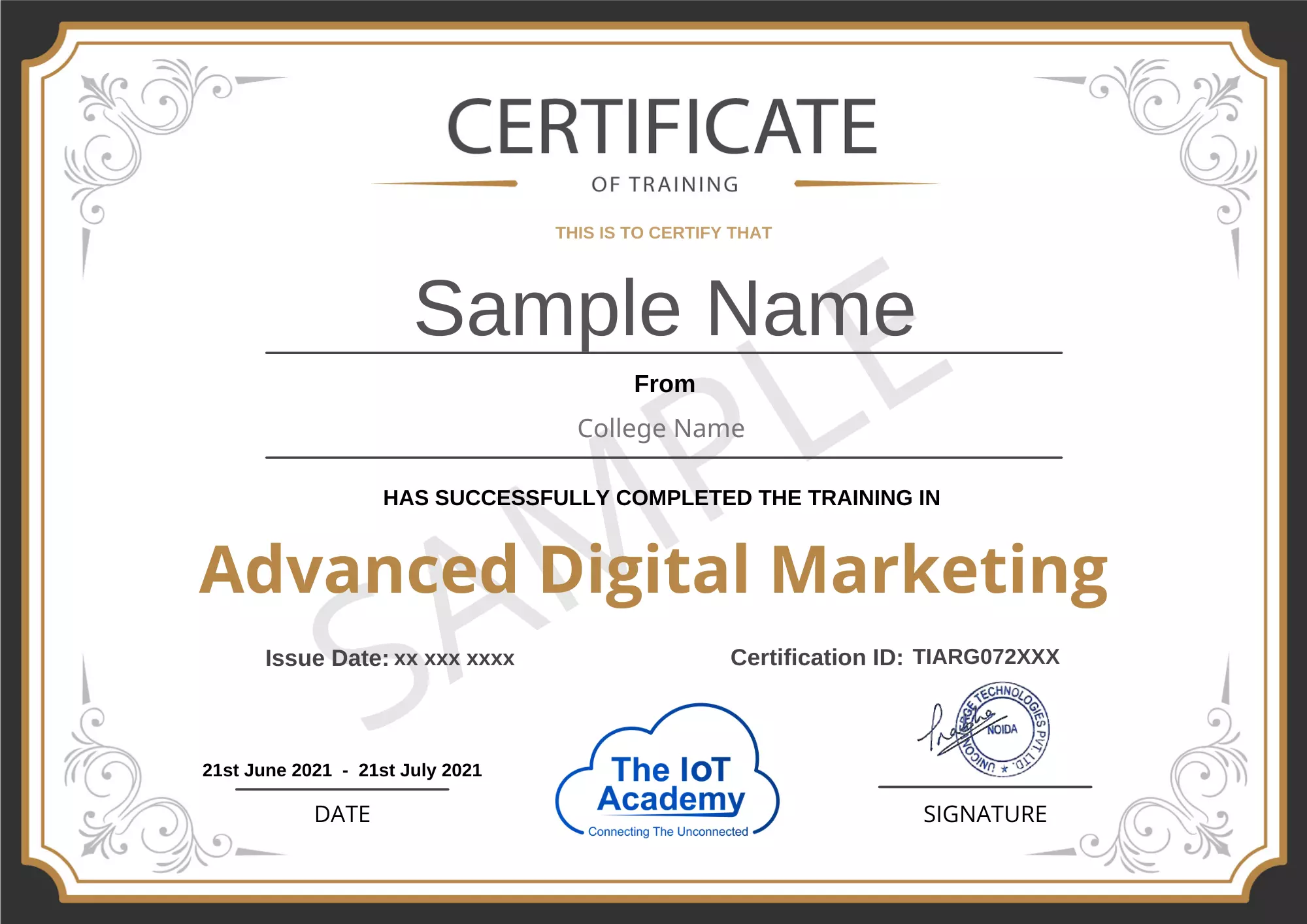 advanced digital marketing certificate