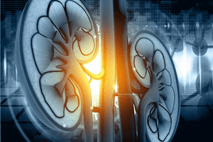 Chronic Kidney Disease Prediction