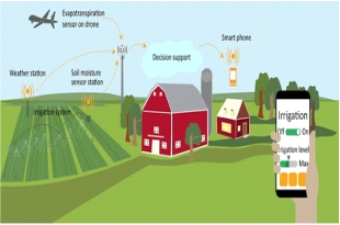 IoT Based Smart Irrigation System