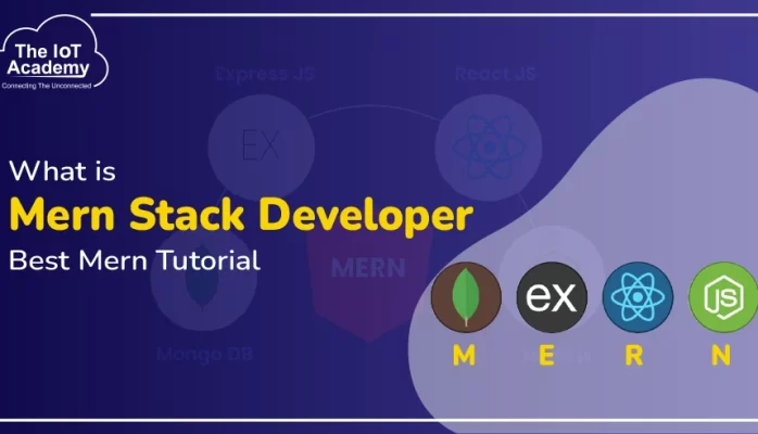 mern-stack-developer