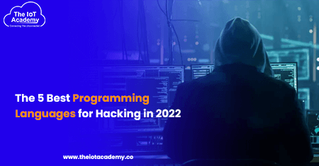 The 5 Best Programming Languages for Hacking in 2022