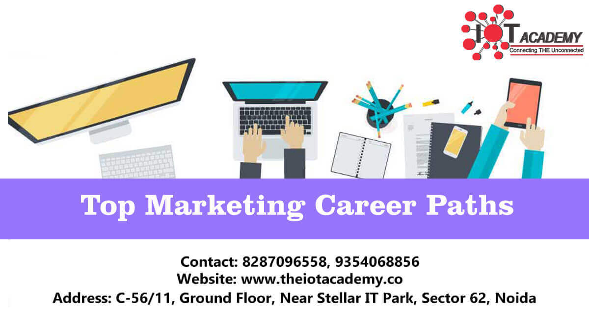 Top Marketing Career Paths