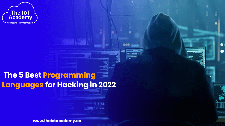 The 5 Best Programming Languages for Hacking in 2022